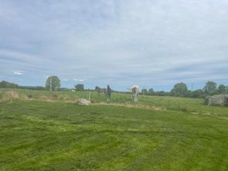 Corrandulla 2 Storey Home-3 Bedrooms - 1