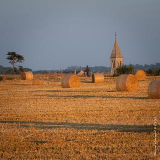 Mary and Frank guest house - 3