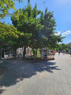Rijkov St Apartment - Gyumri - 9
