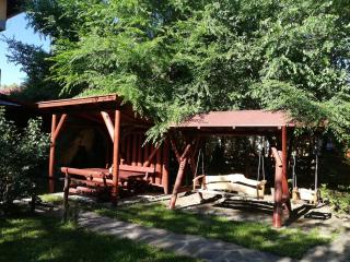 Raza Soarelui Pension - 6