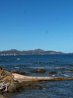 Beachfront studio in Fréjus - 7