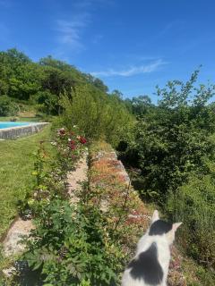 Aurifat - Cordes-sur-Ciel - 6