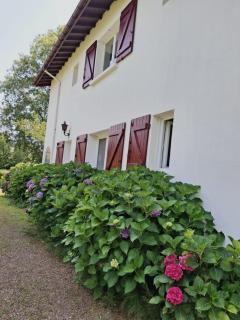 villa relax - Ascain - 8