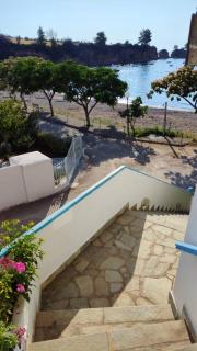 Agnanti Kotsikia - 8