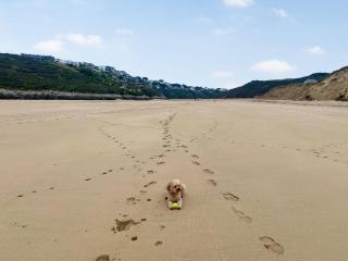 Greycott - Uk48746 - Crantock - 9