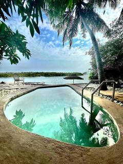 Midsummer Night Dreams - 0