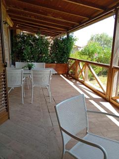 I Sette Ulivi - Lajatico - 3