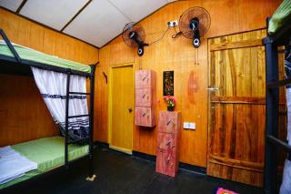 The Travel Tree Hostel - Sigiriya - 1