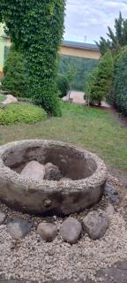 Agroturystyka Magnolia - 7