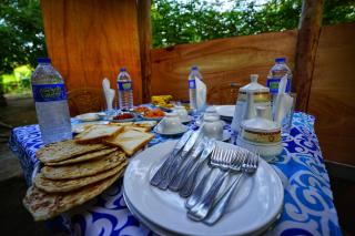 The Travel Tree Hostel - 1