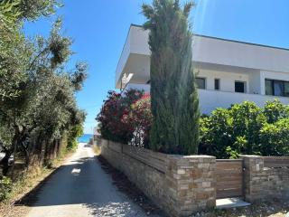 House Constantin - 0