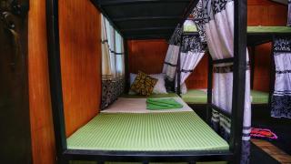 The Travel Tree Hostel - Sigiriya - 0