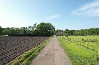 Heide Hoeve met Sauna & Hottub | 6 personen - Otterlo - 4