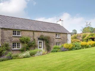Lletty Cottage - Capel-Ifan - 0