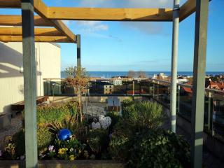 Berolina-119-Alte-Liebe - Dahme - 1
