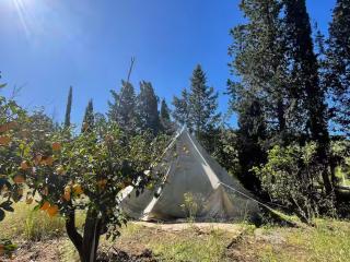 In Our Garden Sardinia - Orange Trees Glamping Tent - Capitana - 5