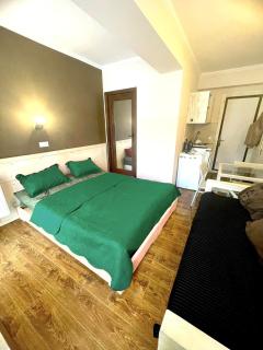 Mgzavrebi Bakuriani - 0