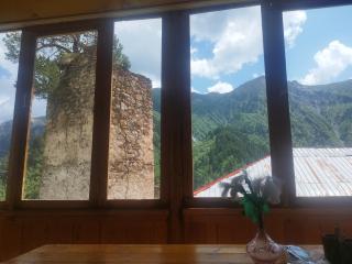 Hotel Family Bachi - Adishi - 5