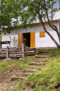 Micanovic Family House - 2