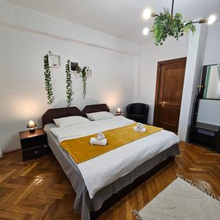 Apartment Zarnesti City Centre VMP Free Parking - 3