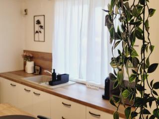 Rose Garden House - Bucarest - 4