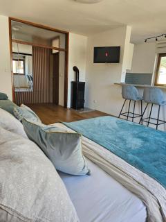 Apartment Blue - Korenica - 0