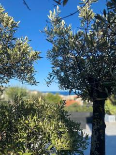 PhilHouse, Jacuzzi Seaview & Bbq - Sanremo - 9