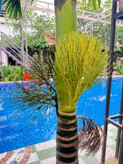 TAM COC SUNRISE HOMESTAY - Vân Viễn - đội 2 - Vũ Lâm - 9