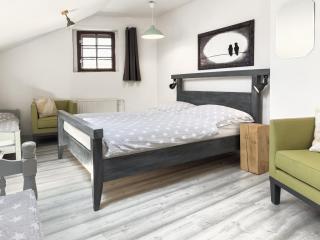 Apartmán Vikárka - dům Karla Hynka Máchy - Litoměřice - Litoměřice - 9