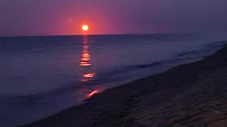 maisonnette de vacances proche plage - Borgo - 9