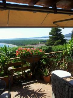 Casa Oliva Ansedonia - Ansedónia - 1