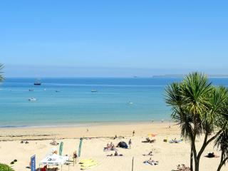 Driftwood - St Ives - 2