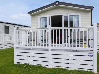 The Laughing Seagull - Uk50213 - Aberystwyth - 8