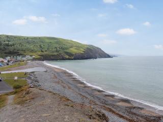 The Laughing Seagull - Uk50213 - Aberystwyth - 6