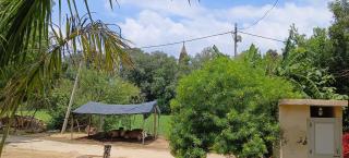Baba Homestay - - 1