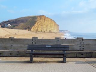 Sweet Briar - 8234 - Bridport - 1