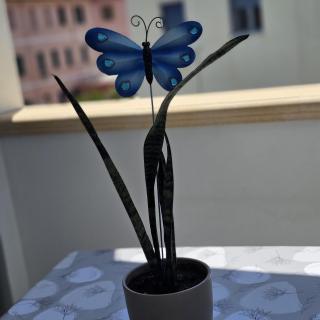 Appartamenti Ohana - Reggio Calabria - 4