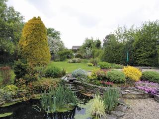Oak Tree Cottage - E5062 - Lydbrook - 6