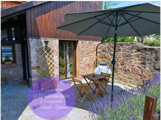 Le petit Châtaignier - Cozy Immo - Châtenois - 0