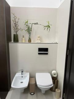 Nature-Inspired Stay in Piata Sfatului Brasov - 3