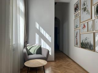 Nature-Inspired Stay in Piata Sfatului Brasov - 2