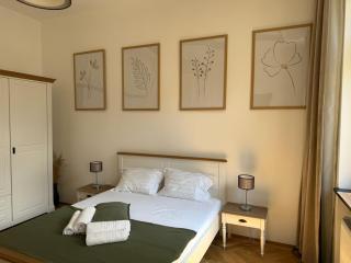 Nature-Inspired Stay in Piata Sfatului Brasov - 1
