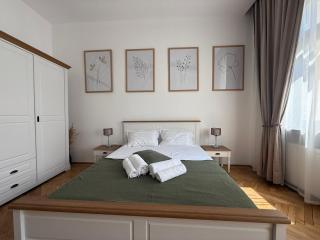 Nature-Inspired Stay in Piata Sfatului Brasov - 9