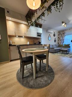Oliwkowy - stylowy Apartament w naturalnym klimacie - Częstochowa - 1
