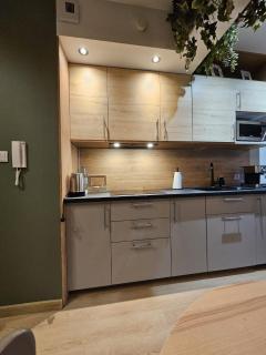 Oliwkowy - stylowy Apartament w naturalnym klimacie - Częstochowa - 2