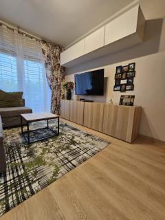 Oliwkowy - stylowy Apartament w naturalnym klimacie - Częstochowa - 8