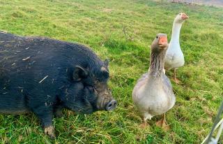 Le dôme du Bonheur - 2