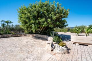 L'Aia - Monopoli - 5