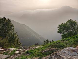 Meru Stays - Mukteshwar - 1