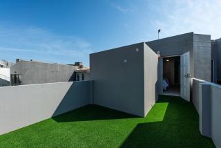 Fairy Tern - Langstrand - 7